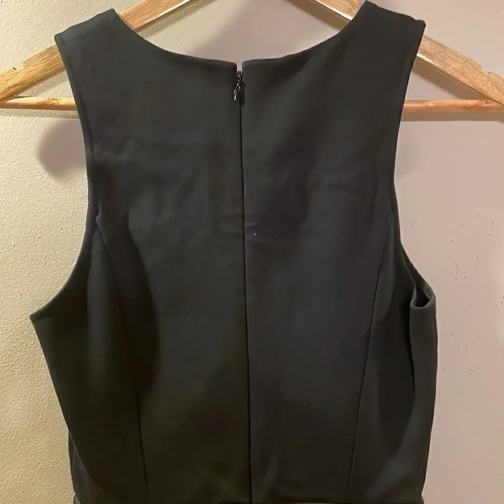 J. Crew Dress